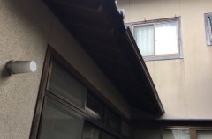 大分寺雨樋取替え工事""